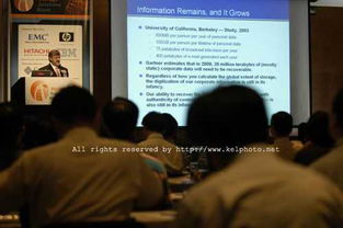 Kelphoto 专业摄影摄像服务，定格人生精彩瞬间