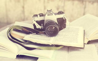 子瑶说摄影 | 社群99%摄影爱好者不知道的4大秘籍，助你开启专业摄影摄像服务